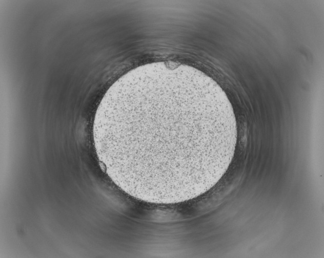 X0000110870270200907301419