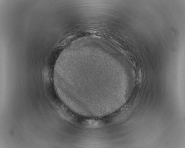 X0000110870272200907301419