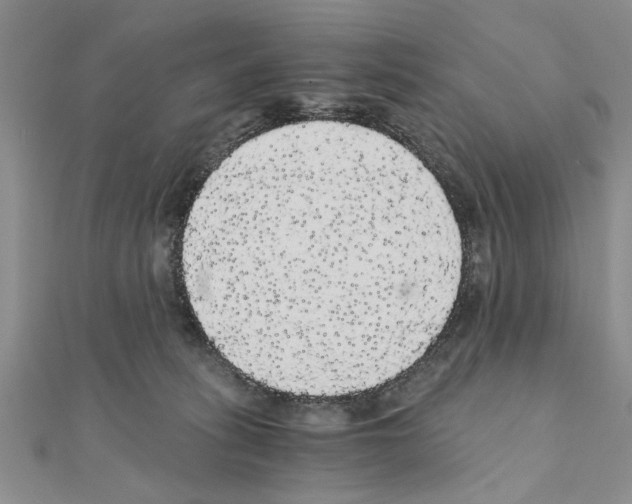 X0000110870275200907301419