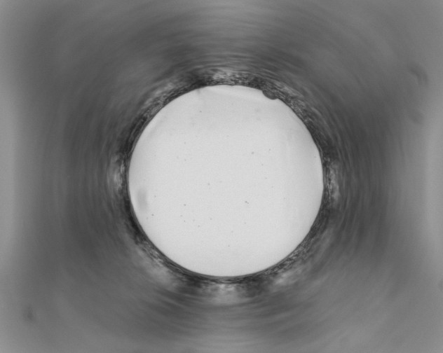 X0000110870276200907301419