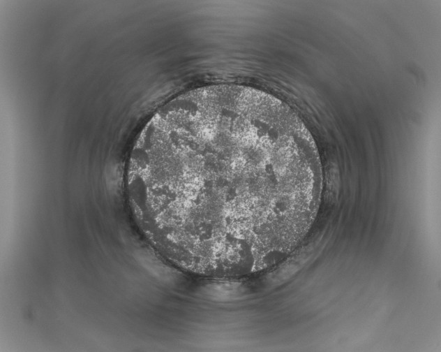 X0000110870278200907301419