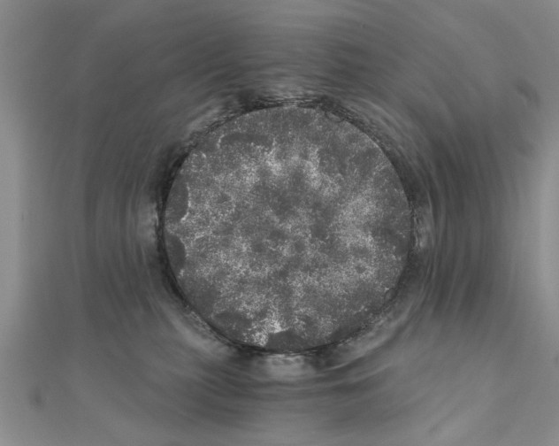 X0000110870279200907301419