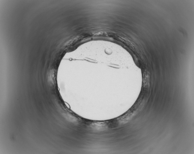 X0000110870280200907301419