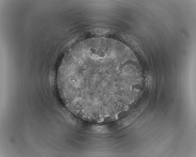 X0000110870283200907301419