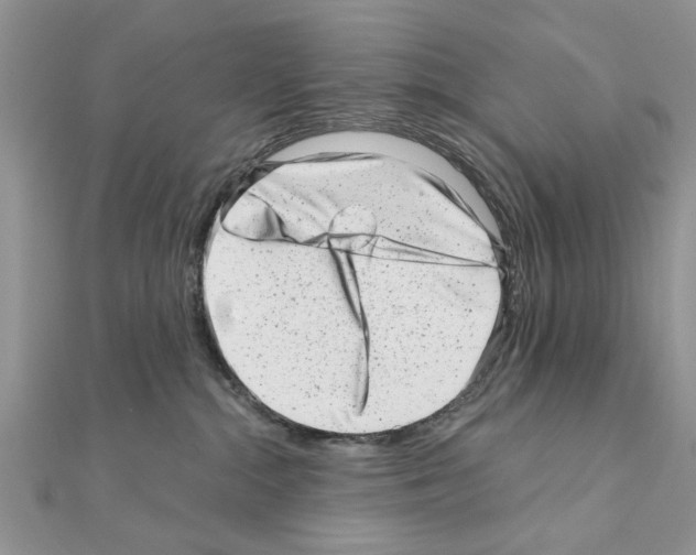 X0000110870284200907301419