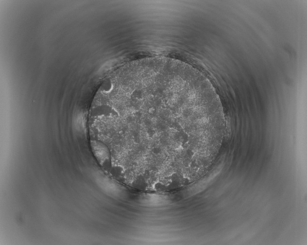 X0000110870286200907301419