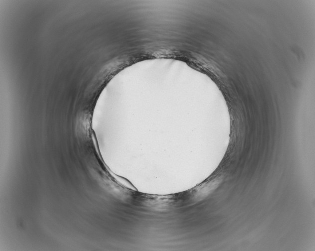 X0000110870288200907301419