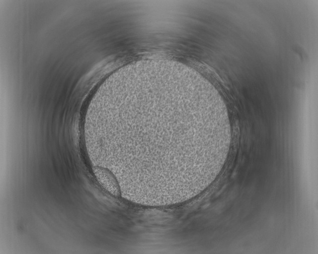 X0000110870290200907301419