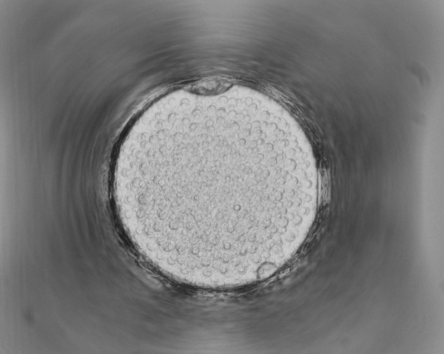 X0000110870291200907301419