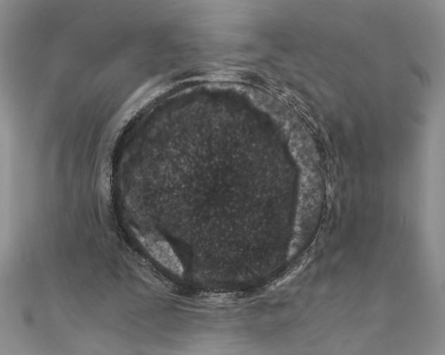 X0000110870295200907301419