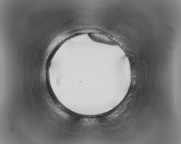 X0000110870296200907301419