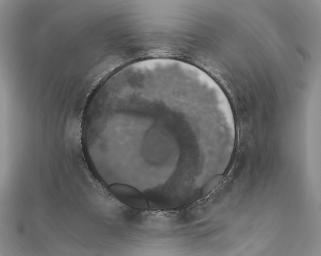 X0000110870297200907301419