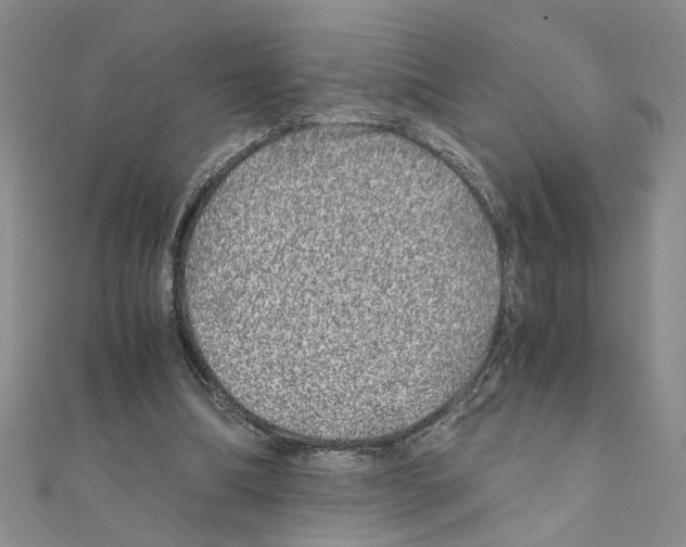 X0000110870298200907301419