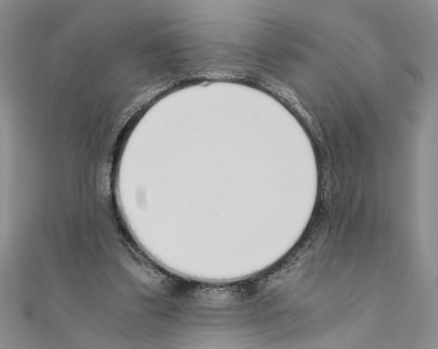 X0000110870299200907301419