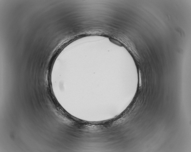 X0000110870300200907301419