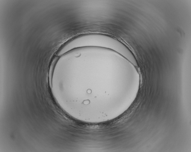 X0000110870301200907301419