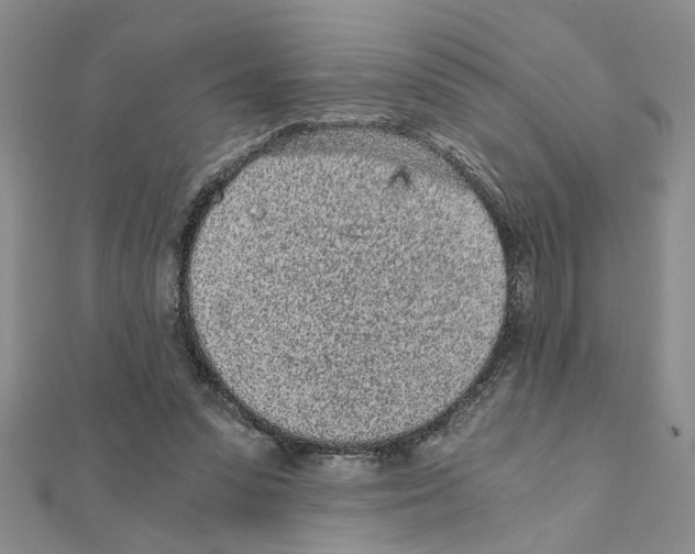 X0000110870303200907301418