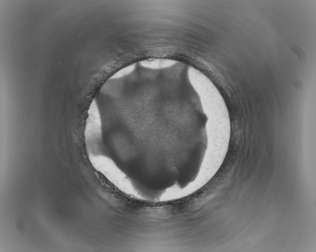 X0000110870307200907301418