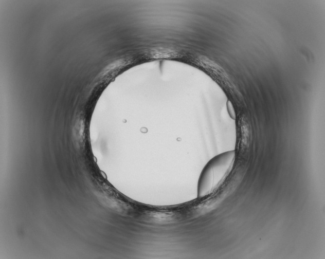 X0000110870308200907301418