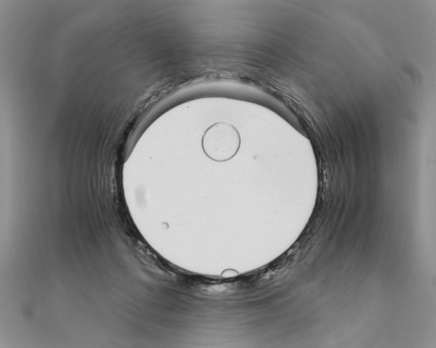 X0000110870312200907301418