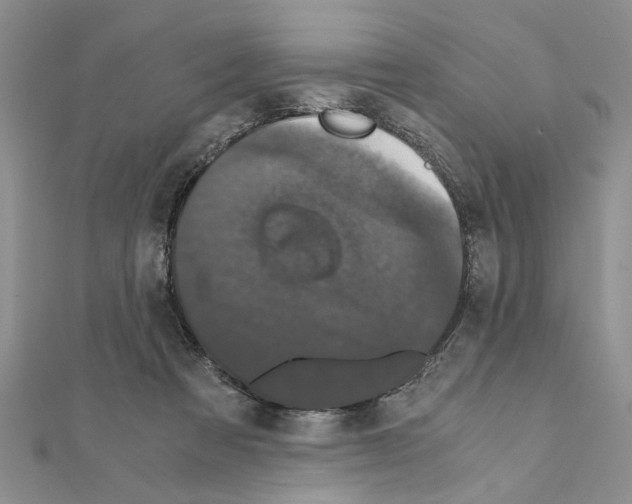 X0000110870313200907301418