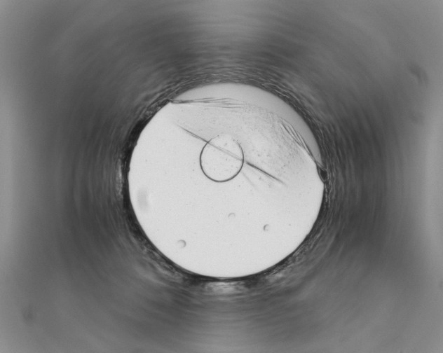 X0000110870320200907301418