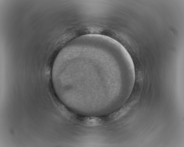 X0000110870321200907301418