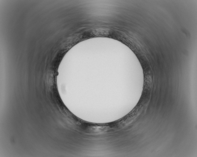 X0000110870323200907301418