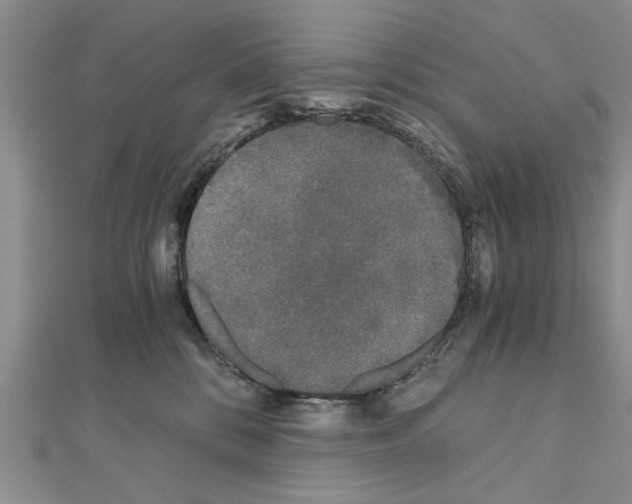 X0000110870328200907301418