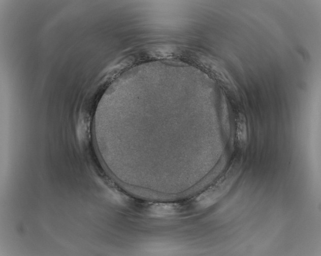 X0000110870332200907301418