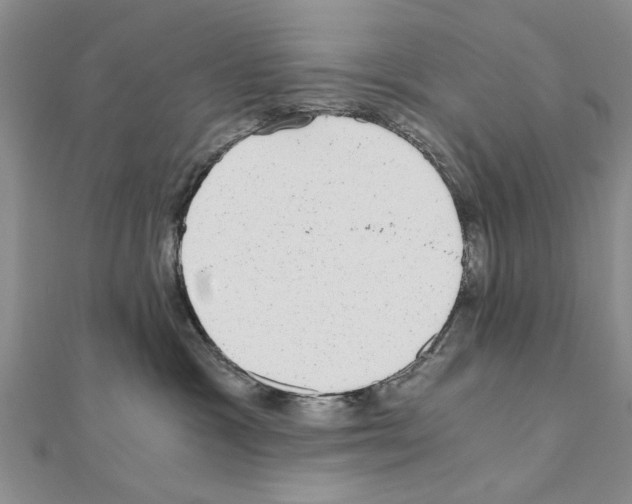 X0000110870333200907301418