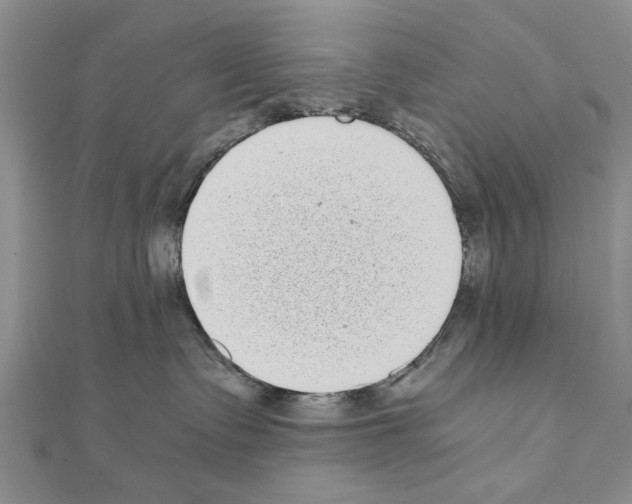 X0000110870335200907301418