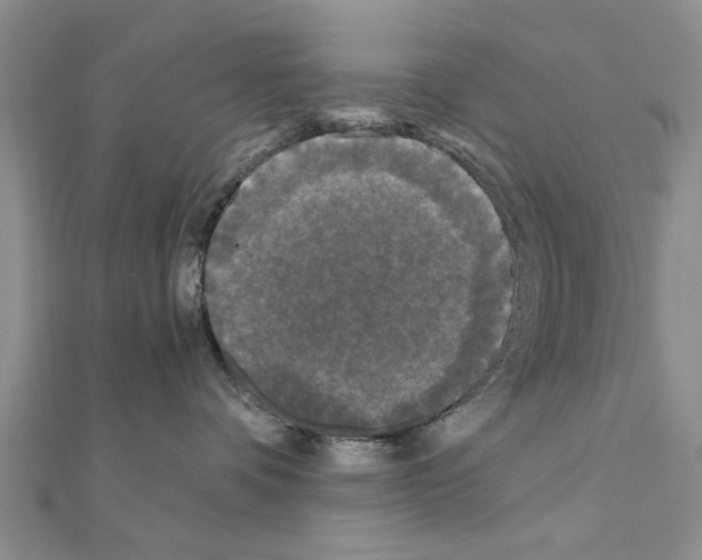 X0000110870336200907301418