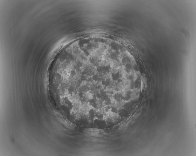 X0000110870339200907301417