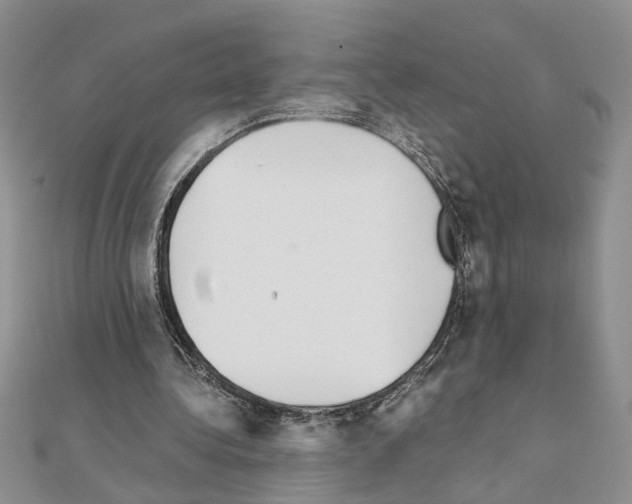 X0000110870340200907301417