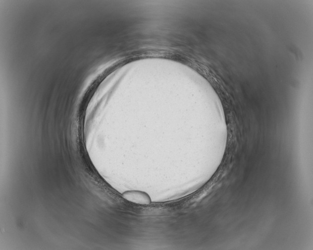 X0000110870342200907301418