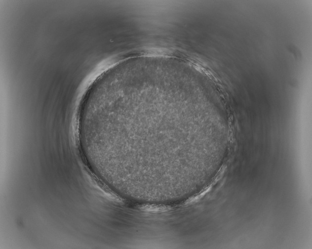 X0000110870343200907301418