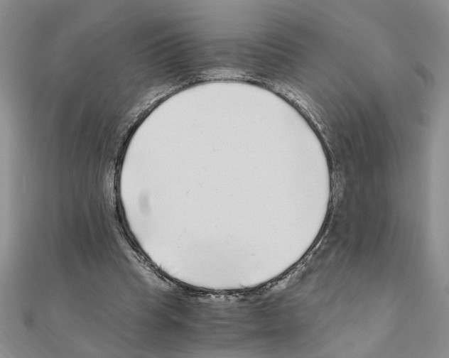 X0000110870345200907301418