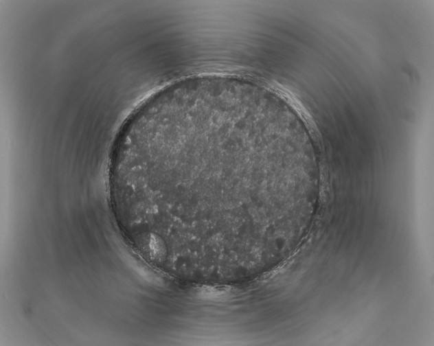 X0000110870346200907301418