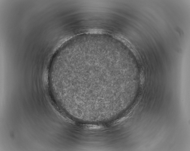 X0000110870347200907301418