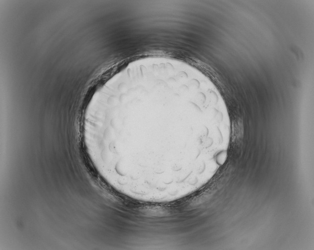 X0000110870349200907301418