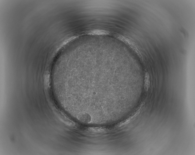 X0000110870351200907301418