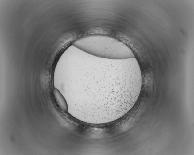 X0000110870352200907301418