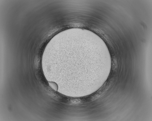 X0000110870355200907301418