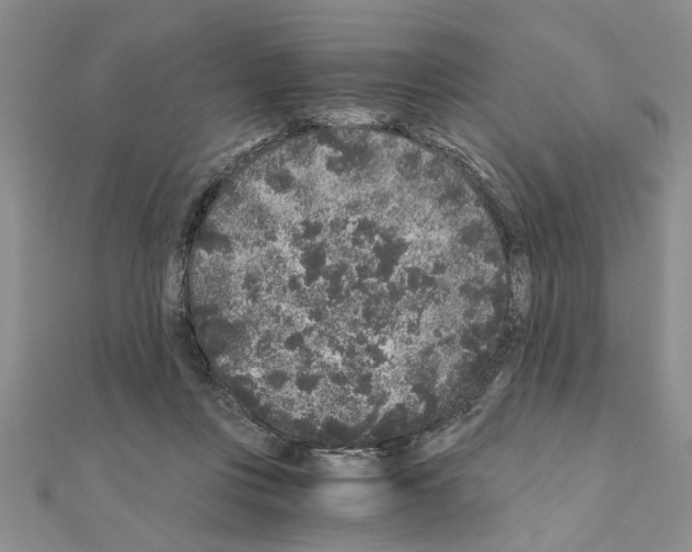 X0000110870359200907301418