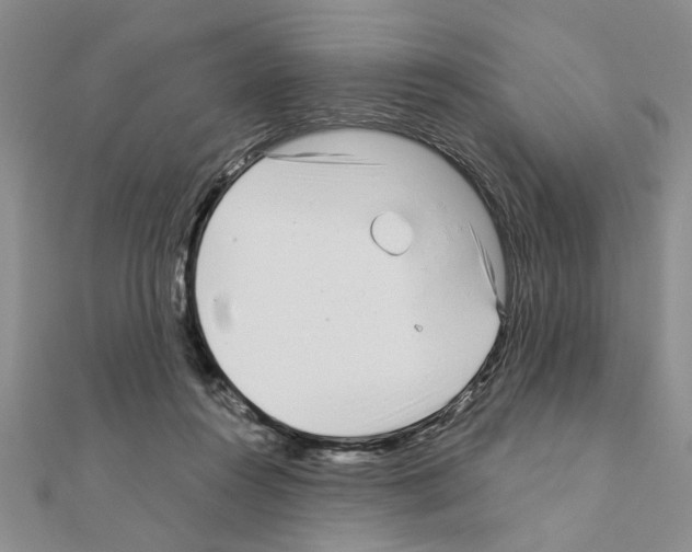 X0000110870360200907301418