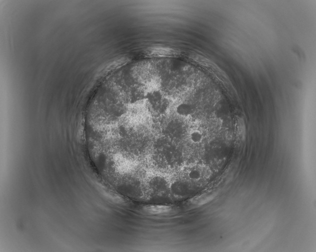 X0000110870361200907301418