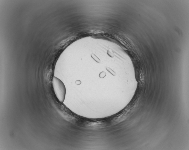 X0000110870364200907301418