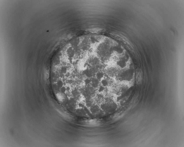 X0000110870365200907301418