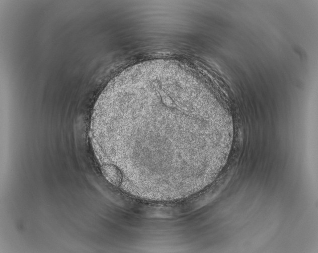 X0000110870366200907301418